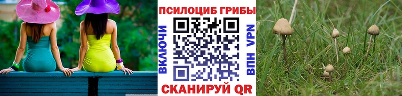 Галлюциногенные грибы мицелий  Янаул 